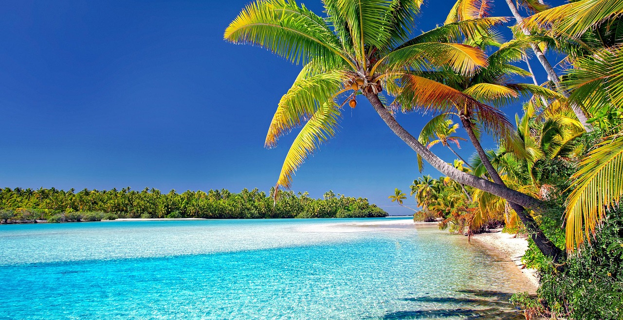 5-Day Culinary and Cultural Adventure in Rarotonga, Cook Islands